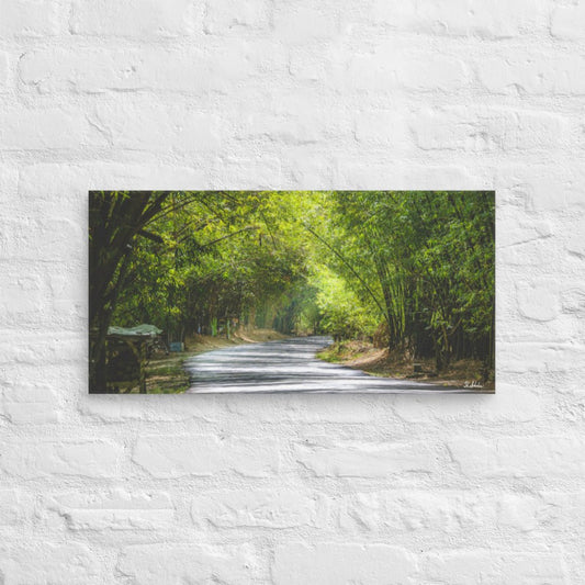 Holland Bamboo Canvas Wall Art - Jamaica Free Shipping - Sheldonlev