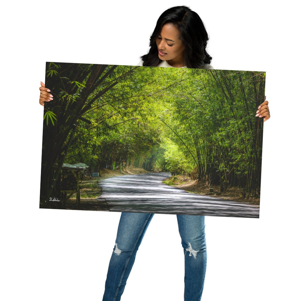 Holland Bamboo, Jamaica – Premium Art Print Poster Free Shipping - Sheldonlev