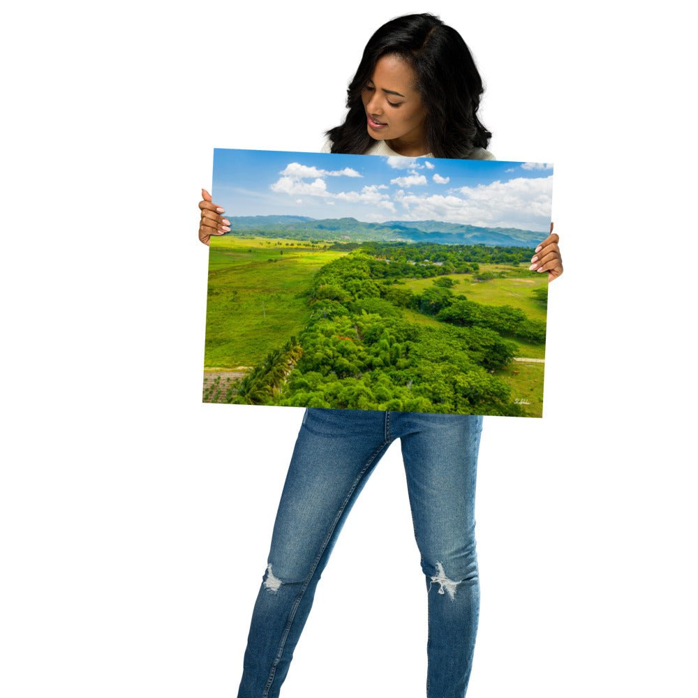 Holland Bamboo Poster - Jamaica Free Shipping - Sheldonlev