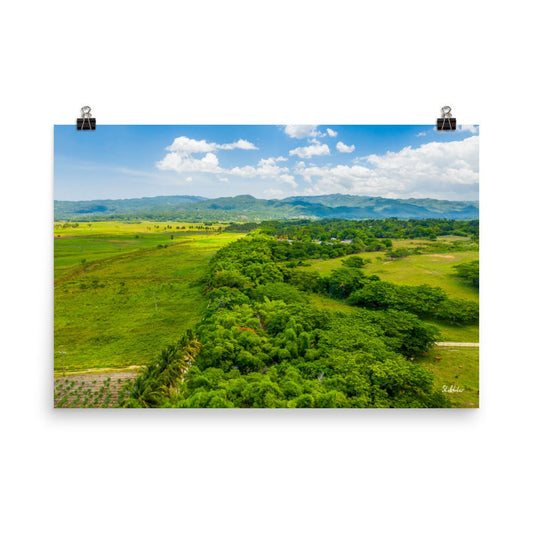 Holland Bamboo Poster - Jamaica Free Shipping - Sheldonlev