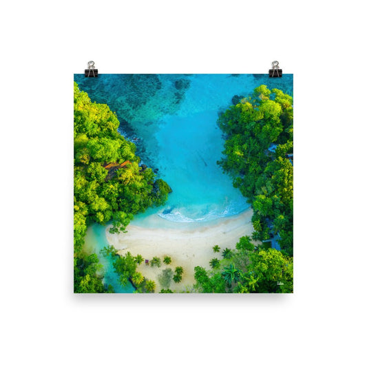 Frenchman Cove Beach Poster (unframed) Free Shipping - Sheldonlev