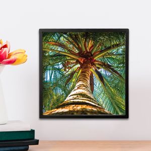 Wall Photo Tile Frame Coconut Tree, Jamaica | Frames stick to any wall Free Shipping - Sheldonlev